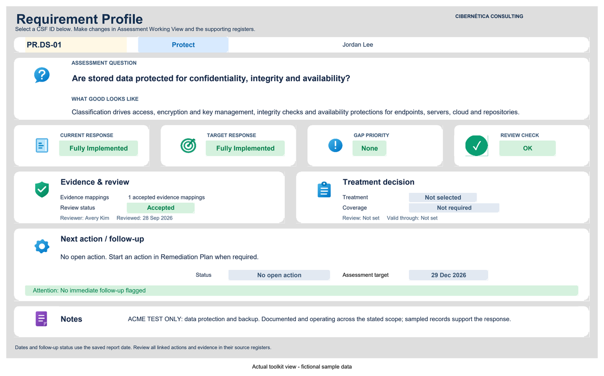 NIST CSF 2.0 requirement profile — actual workbook view with fictional sample data